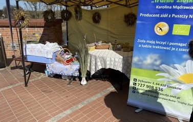 IMG_8095