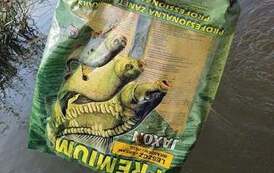 119508108_10158557686219719_1251578826659825739_o