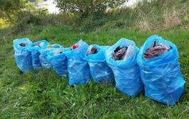 119465443_10158557692179719_5495624544284127087_o