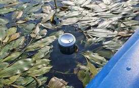 119240808_10158557687129719_2980864815115384432_o