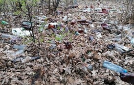 176982336_147529660650778_2633198507269972796_n