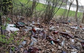 176734139_206798807917959_9166550880801184146_n