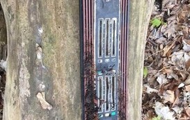 176632964_789094645345584_8670843596342239848_n