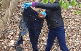 176530138_1169587523479257_2627732306840069042_n