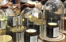 WhatsApp Image 2022-12-19 at 12.40.35