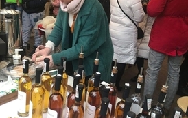 WhatsApp Image 2022-12-19 at 12.40.40 (1)