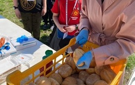 342684415_1329522067605630_803809104104735782_n